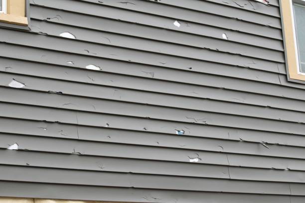 Best Siding Removal and Disposal  in Reiffton, PA